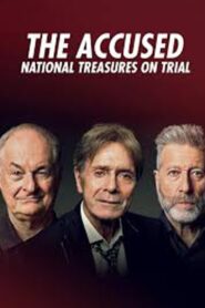 The Accused: National Treasures on Trial 2022 one on netflix
