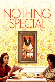 Nothing Special 2010 one on netflix