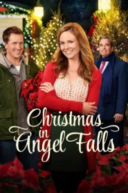 Christmas in Angel Falls 2017 one on netflix
