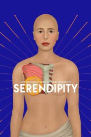 Serendipity 2019 one on netflix
