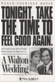 A Walton Wedding 1995 one on netflix