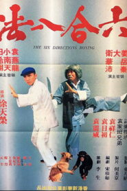 The Six Directions of Boxing 1980 one on netflix