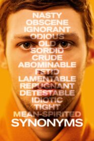 Synonyms 2019 one on netflix