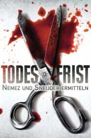 Todesfrist – Nemez und Sneijder ermitteln 2019 one on netflix