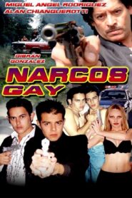 Narcos Gay 2002 one on netflix