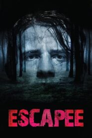 Escapee 2011 one on netflix