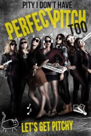 Pity I Don’t Have Perfect Pitch Too 2017 one on netflix