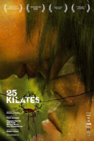 25 Carat 2008 one on netflix