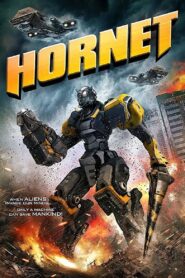 Hornet 2018 one on netflix