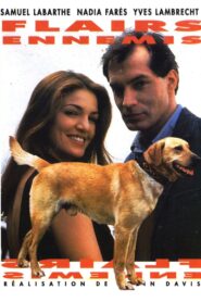 Flairs ennemis 1996 one on netflix