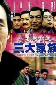 Raging Youth: Organised Crime 1999 one on netflix