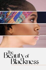 The Beauty of Blackness 2022 one on netflix