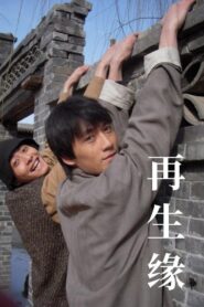 再生缘 2009 one on netflix
