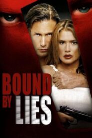 Bound by Lies 2005 one on netflix