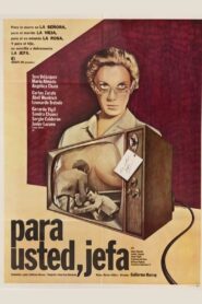 Para usted jefa 1980 one on netflix