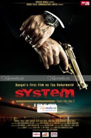 System 2011 one on netflix