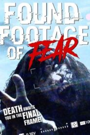 Found Footage of Fear 2020 one on netflix