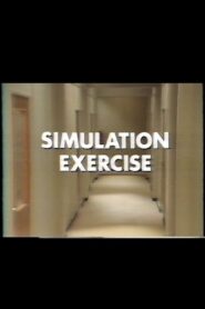 Simulation Exercise 1984 one on netflix