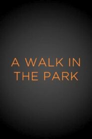 A Walk in the Park 1999 one on netflix