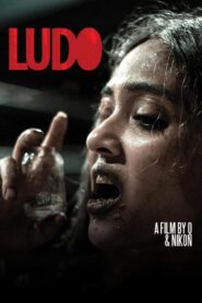 Ludo 2015 one on netflix