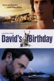 David’s Birthday 2009 one on netflix