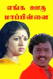 Enga Ooru Maappilai 1989 one on netflix