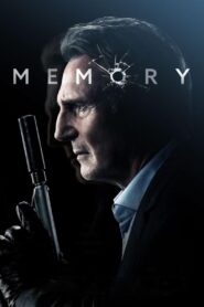 Memory 2022 one on netflix