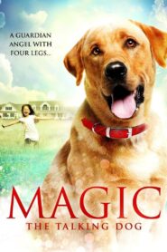Magic 2010 one on netflix