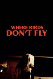 Where Birds Don’t Fly 2017 one on netflix