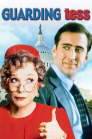 Guarding Tess 1994 one on netflix