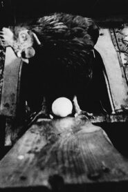 Robochick 1993 one on netflix