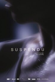Suspendu 2015 one on netflix