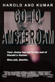 Harold & Kumar Go to Amsterdam 2008 one on netflix