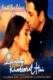 Zindagi Khoobsoorat Hai 2002 one on netflix