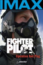 Fighter Pilot: Operation Red Flag 2004 one on netflix