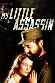 My Little Assassin 1999 one on netflix