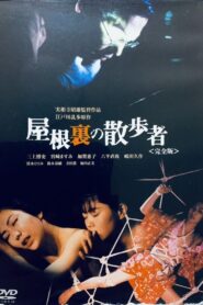 A Watcher in the Attic 1994 one on netflix