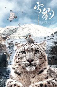 Snow Leopards and Friends 2023 one on netflix