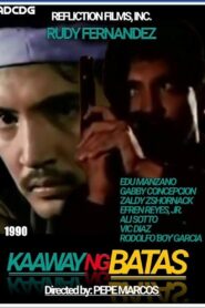Kaaway ng Batas 1990 one on netflix