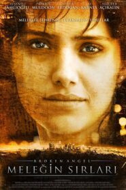 Broken Angel 2008 one on netflix