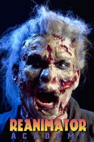 Reanimator Academy 1992 one on netflix
