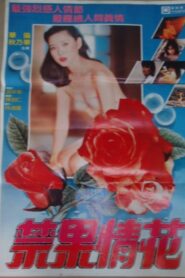 Searching for Love 1986 one on netflix