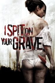 I Spit on Your Grave 2010 one on netflix