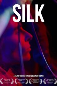 Silk 2013 one on netflix