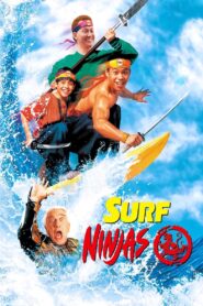 Surf Ninjas 1993 one on netflix