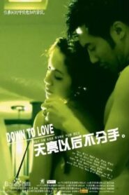 Down to Love 2006 one on netflix
