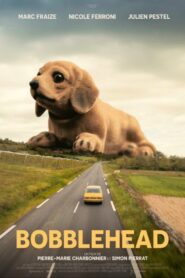 Bobblehead 2024 one on netflix