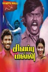 Red Jasmine 1981 one on netflix
