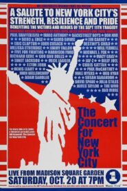 Come Rain or Come Shine 2001 one on netflix