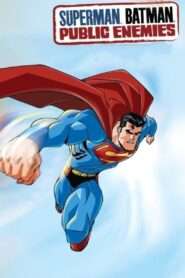 Dinner with DCU and Special Guest Star Kevin Conroy 2009 one on netflix